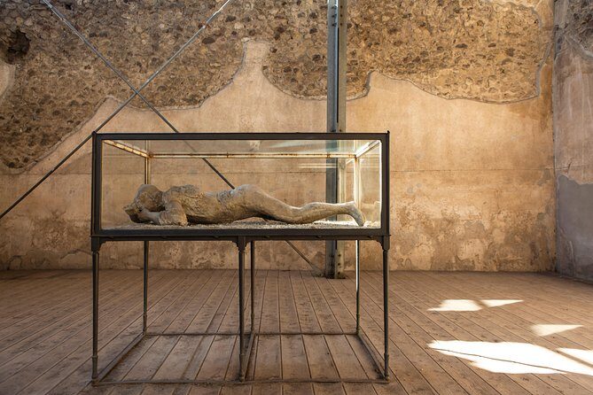 Pompeii & Mt.Vesuvius Day Tour from Naples with Pizza Lunch - Value check: is $149.38 a good deal?