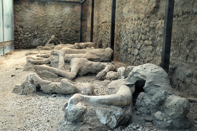 Pompeii, Mt. Vesuvius, Herculaneum Private Tour - A Private Day from Sorrento or Naples: Fewer Moving Parts