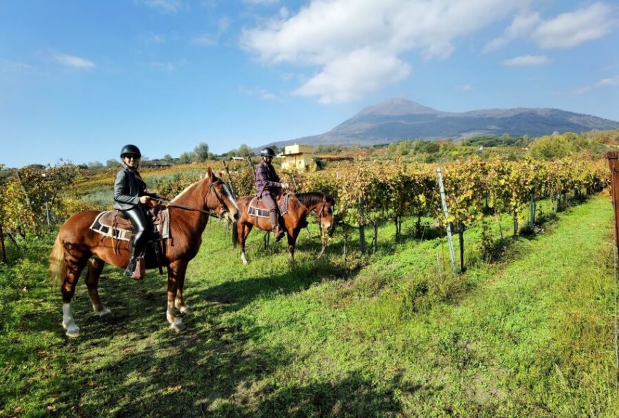 Pompeii: Ruins Tour and Mount Vesuvius Horseback Ride - Why this Pompeii and Vesuvius day feels like more than a checklist