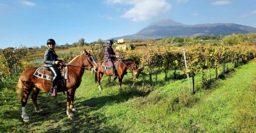 Pompeii: Ruins Tour and Mount Vesuvius Horseback Ride - Pompeii with an archaeologist guide: what 2 hours really buys you