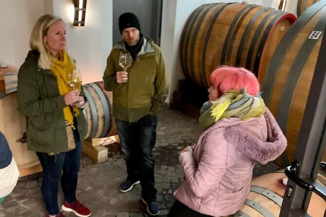 Pompeii Vesuvius Wine Farm Tour - The value behind a private Pompeii + Vesuvius + wine day