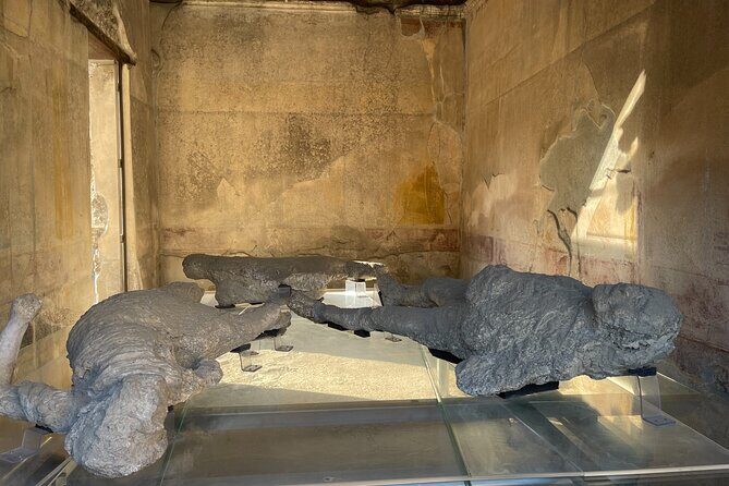 Pompeii, Vesuvius & wine tasting from Positano all inclusive - Casa Setaro Winery: UNESCO Biosphere Vines and a Real Taste