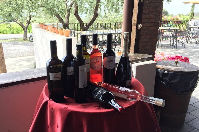 Pompeii-Vesuvius-Wine tour from Sorrento, licensed guide included - Private Sorrento Pickup That Lets You Start the Day Calm