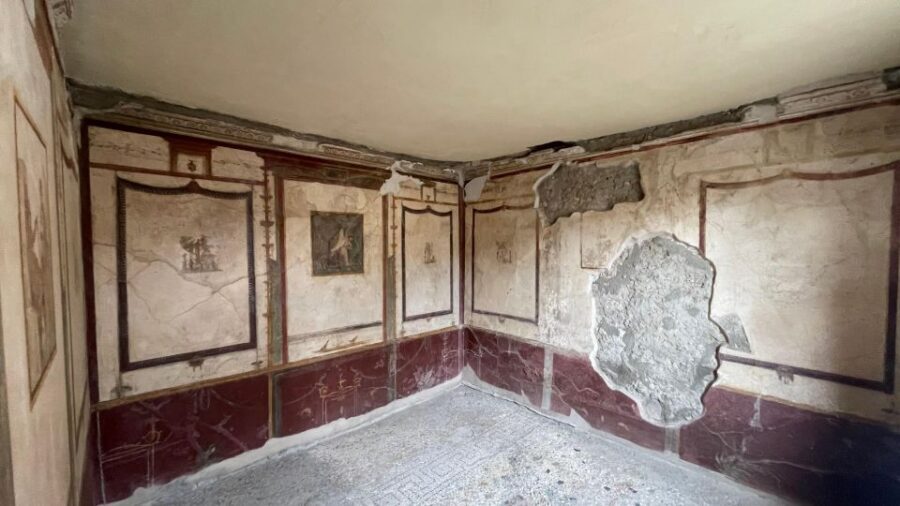 Pompeii-Vesuvius & Winery All Inclusive Tour From Positano - Value and Price: Is $284.46 Per Person Worth It?