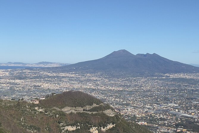 Pompeii & Vesuvius with Lunch & Wine Tasting from Amalfi Coast - Pompeii Archaeological Park With a Guide: What You Get in Two Hours