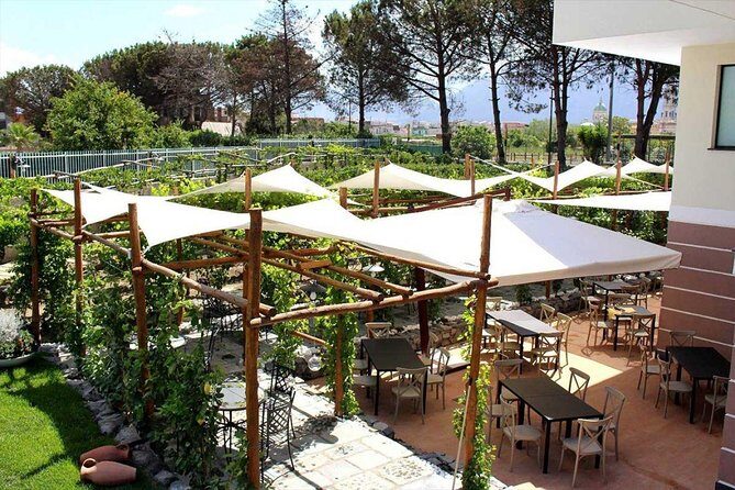 Pompeii & Vesuvius with Wine Tasting from the Coast - Mount Vesuvius National Park: the Gran cone walk and crater views