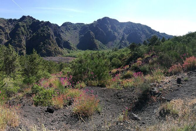 Private Day Tour to Vesuvius, Herculaneum & Pompeii with Pick Up - Mount Vesuvius: the hike, the trail, and weather reality