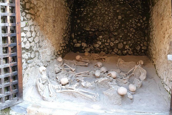 Private Day Tour to Vesuvius, Herculaneum & Pompeii with Pick Up - Guide and driver quality: what makes this feel private