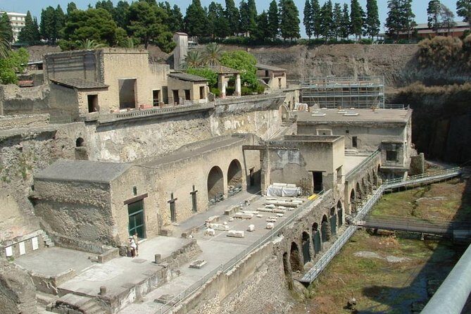 Private Full-Day Tour to Pompeii and Mt. Vesuvius with Winery Visit - Practical tips that will save you hassle on the day