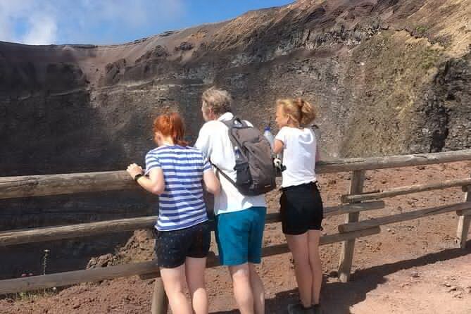 Private Half-Day Sightseeing Tour of Vesuvius National Park - Your driver/guide language: English is offered, but communication can vary