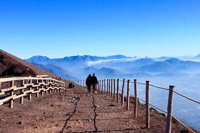 Private Half-Day Sightseeing Tour of Vesuvius National Park - Who this Vesuvius half-day tour fits best