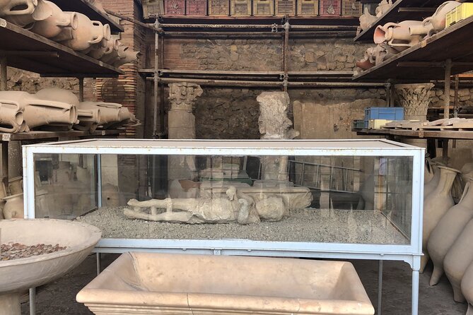 Private Pompeii and Herculaneum Day Tour with Pick Up - Lunch and comfort: you’ll want a plan