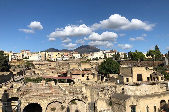 Private Pompeii and Herculaneum with Wine Tasting - Full Tickets - Vesuvius Views Without the Crater Drive