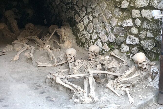 Private Pompeii and Herculaneum with Wine Tasting - Full Tickets - Pompeii’s Best Moments: Homes, Frescos, Mosaics, and the Food People Ate