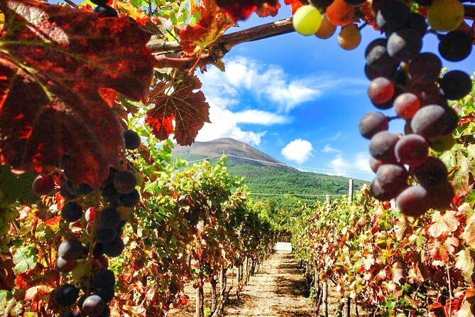 Private Pompeii and Vesuvius with Wine Tasting and Full Tickets - FAQ
