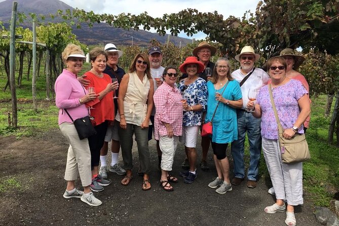 Private Pompeii and Vesuvius with Wine Tasting and Full Tickets - Wine Tasting and Lunch at Cantina del Vesuvio: Where the Day Slows Down