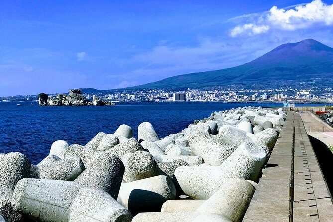Private Pompeii Herculaneum and Vesuvius Full-Day Shore Excursion - Tickets, ID, and Site Timing: The Stuff That Can Save Your Day