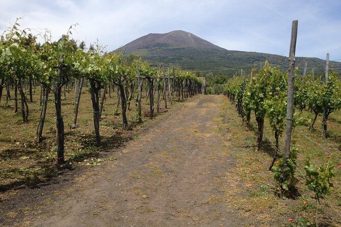 Private Pompeii, Herculaneum and Winery Tour from Naples - Getting from Naples: pickup, timing, and how the day feels