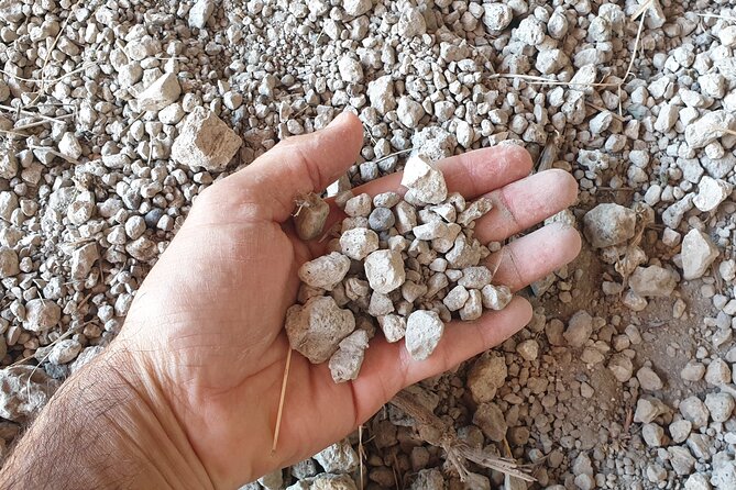 Private Pompeii Tour with Archaeologist & Winery on Mt Vesuvius - Macellum and Forum Baths: food and routines, not just statues