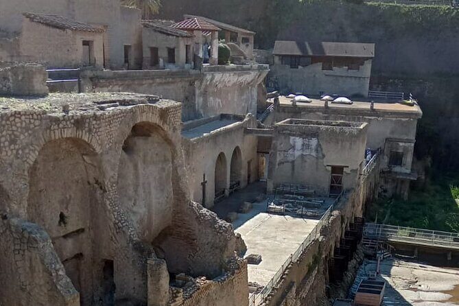 Private Tour in Herculaneum with an authorized guide - Should you book this private Herculaneum tour?