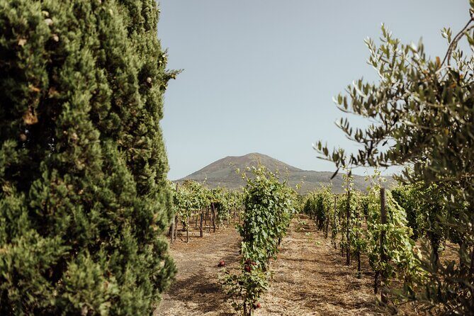 Private Tour in Pompeii and Vesuvius - What You Should Pack for This Day (So You Enjoy It)