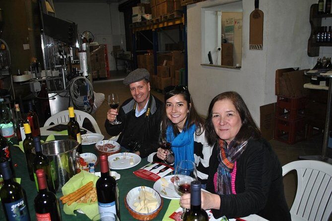 Private tour Pompeii Vesuvius and Winery from Sorrento - Should you book this Pompeii and Vesuvius private tour?
