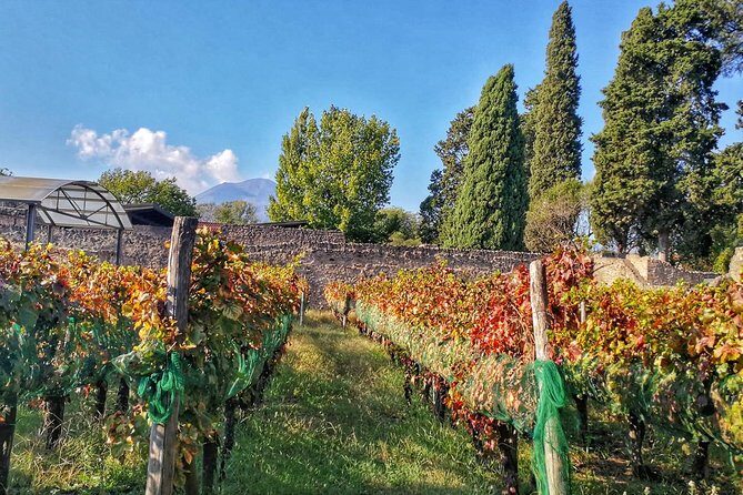 Private Tour: Pompeii & Wine Tasting at the Slopes of Mt Vesuvius - The Stops Inside Pompeii You’ll Want to See (and Why)