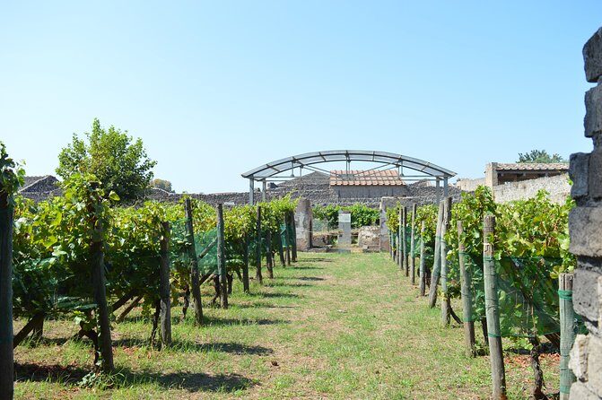 Private Tour: Pompeii & Wine Tasting at the Slopes of Mt Vesuvius - What’s Included (and What You’ll Still Pay For)