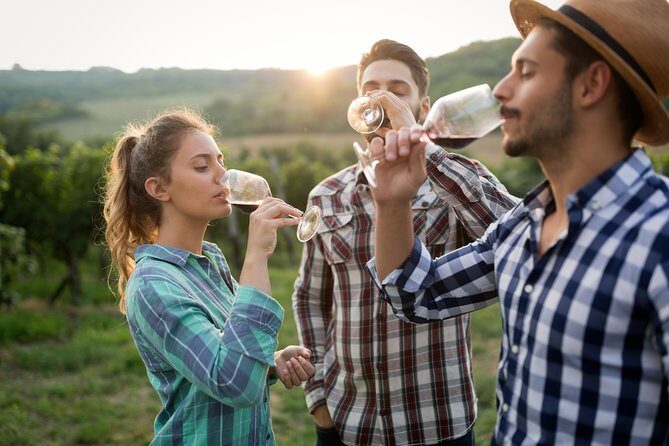 Private Tour: Pompeii & Wine Tasting at the Slopes of Mt Vesuvius - The Guide Factor: Getting Pompeii Right