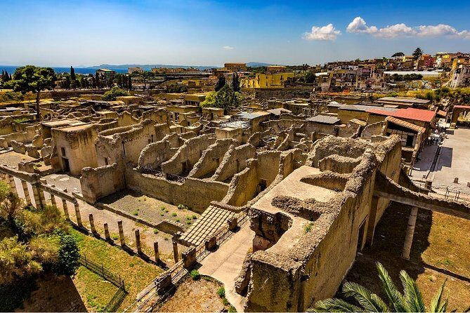 Private tour to Pompeii Herculaneum and Vesuvius - Vesuvius National Park: tickets, weather, and the climb reality