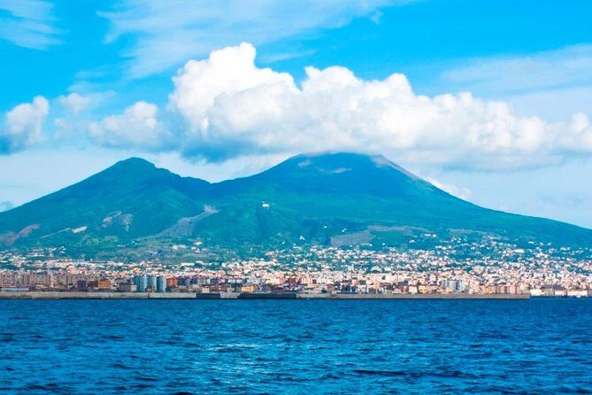 Private tour to Pompeii Herculaneum and Vesuvius - The driver experience: explanations, flexibility, and the human factor