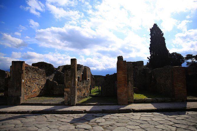 Rome to Pompeii & Herculaneum Trip with Hotel Pickup & Skip-the-line Tickets - Comfort, Timing, and the Minivan That Keeps the Day From Falling Apart
