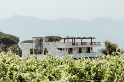 Scenic Wine Tasting & Lunch on the Slopes of Vesuvius from Naples - Winery and cellar moments: how the tour handles winemaking