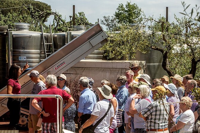 Scenic Wine Tasting & Lunch on the Slopes of Vesuvius from Naples - Group size, guides, and the service style (including familiar names)