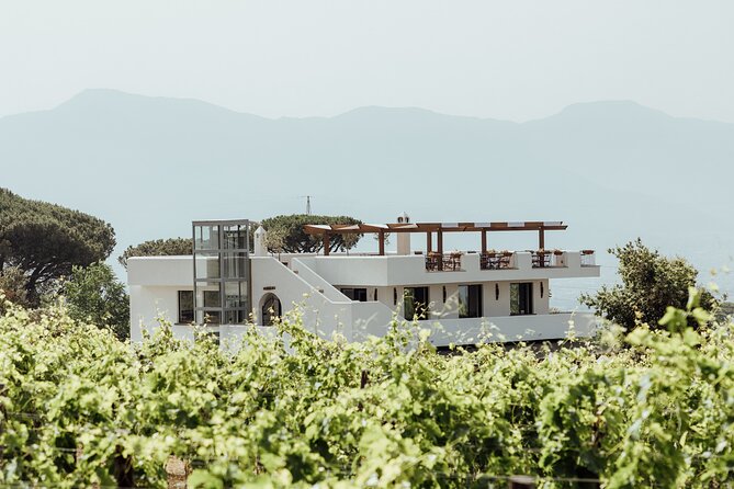 Scenic Wine Tasting & Lunch on the Slopes of Vesuvius from Naples - Winery and cellar moments: how the tour handles winemaking