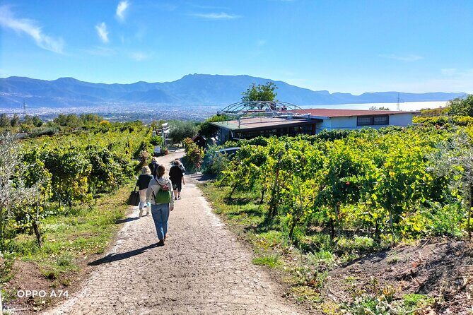 Shore excursion Naples city tour, Pompeii & Winery Cantina del Vesuvio - Pompeii Archaeological Park: Your 2-Hour Window in the Ash City