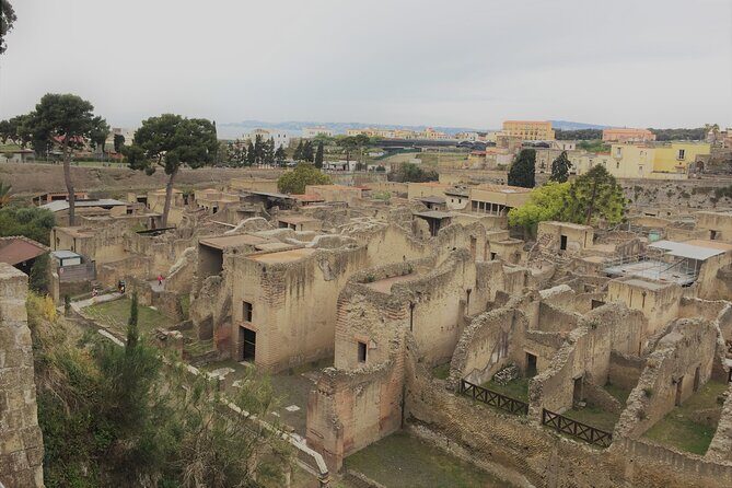 Skip the Line Ancient Herculaneum Walking Tour with Top Rated Guide - College of the Augustales: power and ritual in compact form