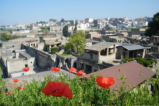 Skip the Line Herculaneum Ruins Ticket - What to look for so the rooms mean something