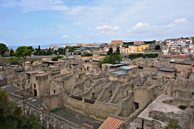 Skip the Line Herculaneum Ruins Ticket - Practical tips for a smoother visit in Ercolano