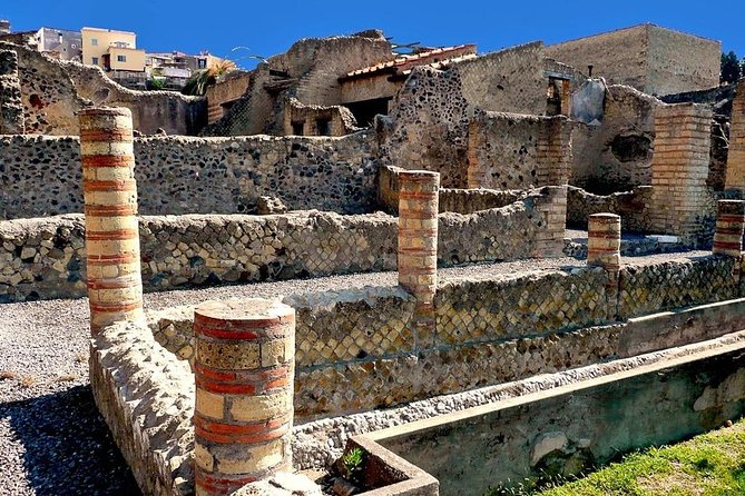 Skip-the-Line Herculaneum Tour from Sorrento - Price and Value: Why $72.14 Can Be a Fair Deal
