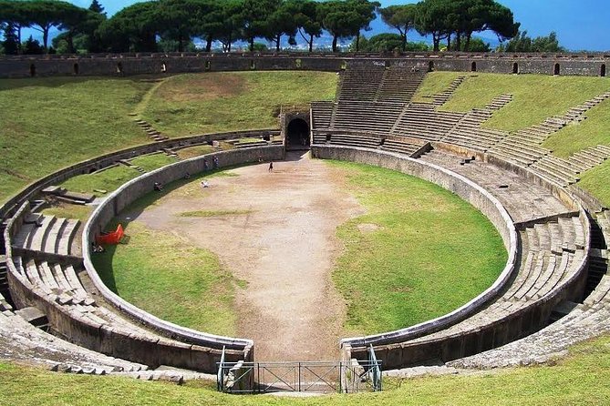 Skip-the-Line Pompeii and Vesuvius Tour - How the group size and 8-hour schedule really feel