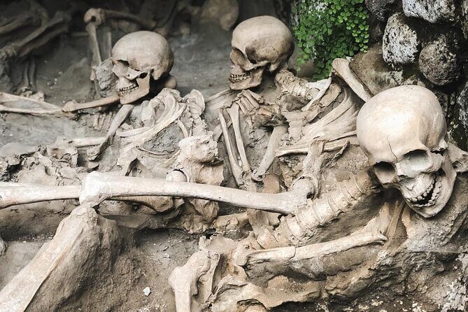 Skip the line Ticket Herculaneum Guided Tour 4 hrs - Herculaneum by bus: quick transfer from Sorrento or Naples