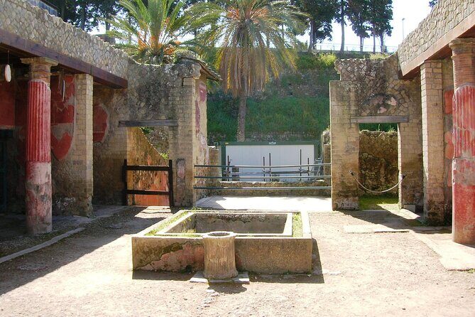 Skip the line Ticket Herculaneum Guided Tour 4 hrs - Inside the best-preserved houses: Hotel, Augustales, and the forum area