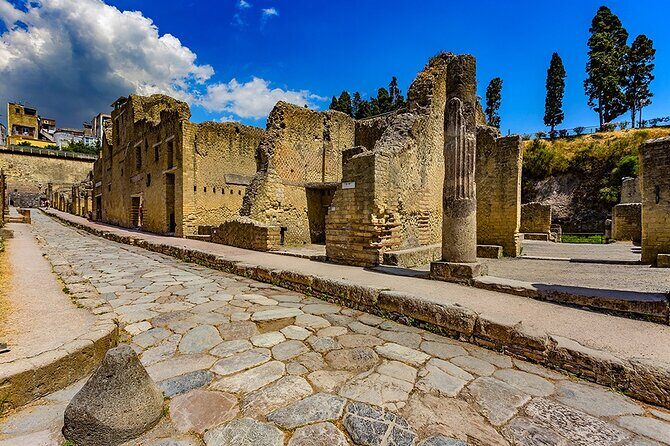 Skip the line Ticket Herculaneum Guided Tour 4 hrs - The 90-minute Parco Archeologico di Ercolano walkthrough