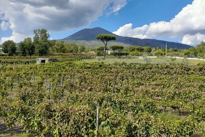 Skip-The-Line Tickets VIP Small Group Tour To Pompei and Vesuvius - Views from the rim: Bay of Naples to Sorrento and Capri (when skies cooperate)