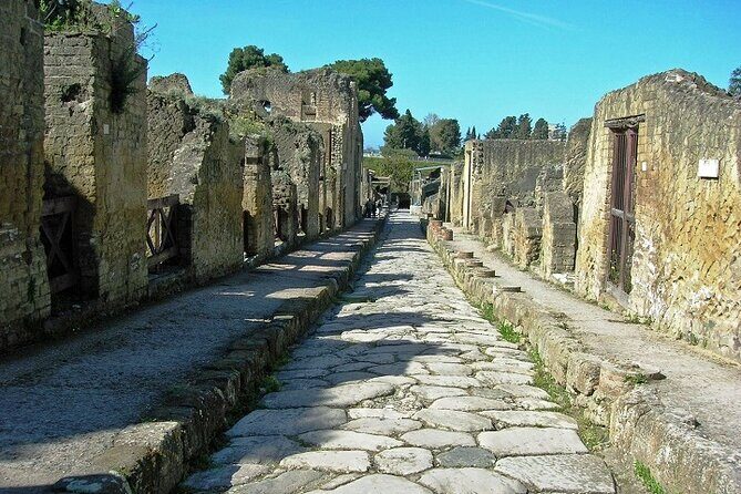 Small Group Tour Pompeii and Herculaneum from Rome - Pompeii walking reality: curbs, pace, and bathroom planning