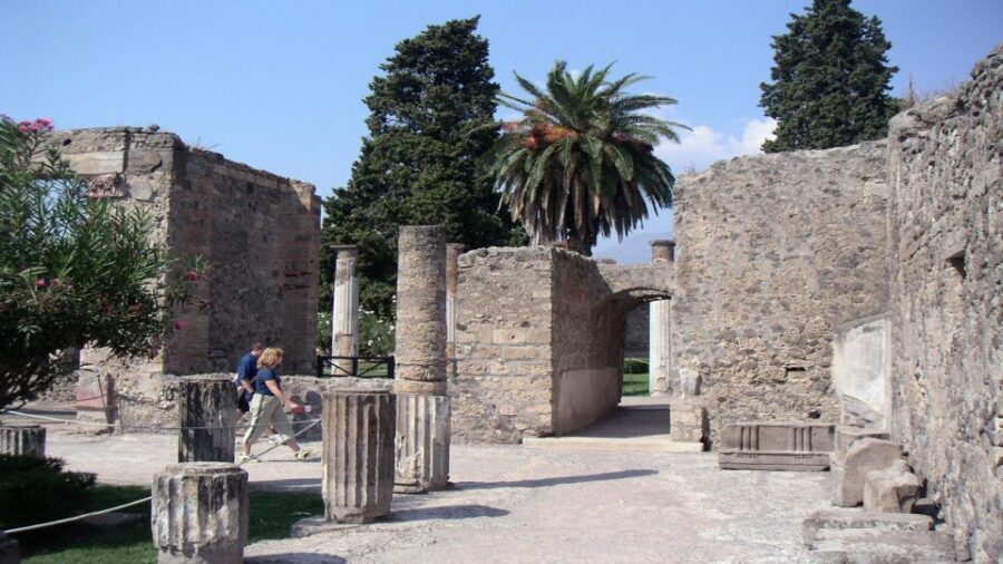 Sorrento: Pompeii & Herculaneum Tour with Skip-the-Line - The Mount Vesuvius viewpoint moment