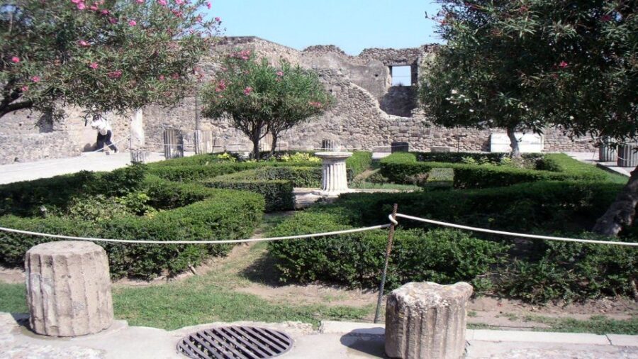 Sorrento: Pompeii & Herculaneum Tour with Skip-the-Line - Comfort, timing, and group size: making an 8-hour day work