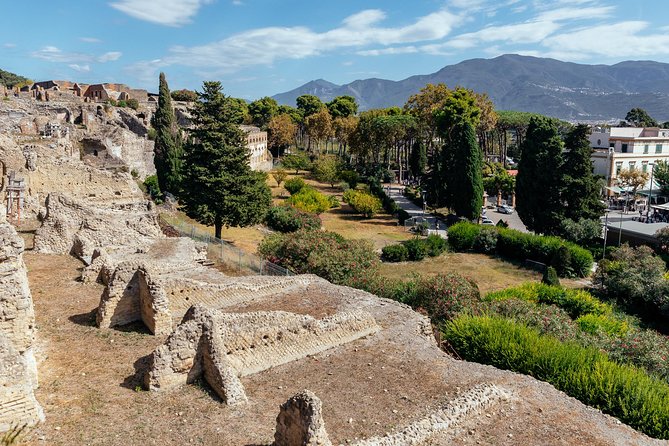 The Ultimate Ruins of Pompeii and Herculaneum Private Day Trip - Skip the Lines at Pompeii’s Main Gate