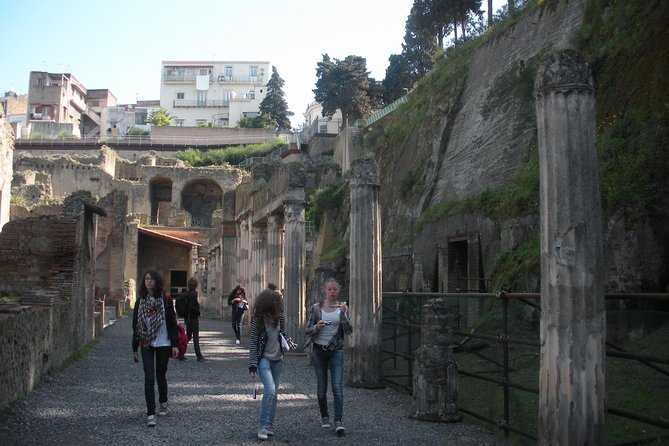 Tour in the ruins of Herculaneum with an archaeologist - Who this tour is best for